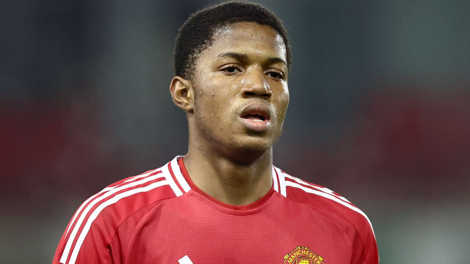 世界杯上的 世界杯上的